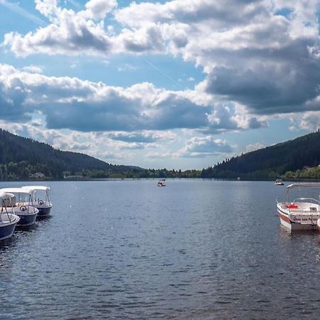 Studio Cosy Ambiance Vosgienne A 20 Mn De Gerardmer Lepanges-sur-Vologne Esterno foto