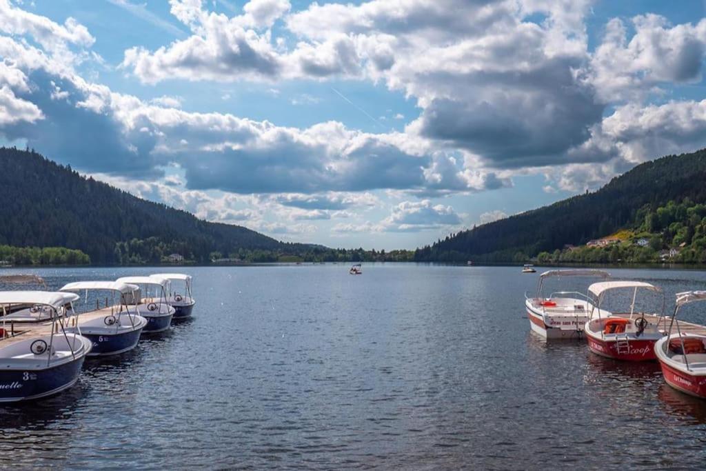 Studio Cosy Ambiance Vosgienne A 20 Mn De Gerardmer Lepanges-sur-Vologne Esterno foto