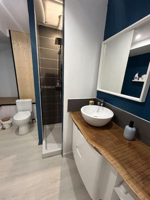 Studio Cosy Ambiance Vosgienne A 20 Mn De Gerardmer Lepanges-sur-Vologne Esterno foto