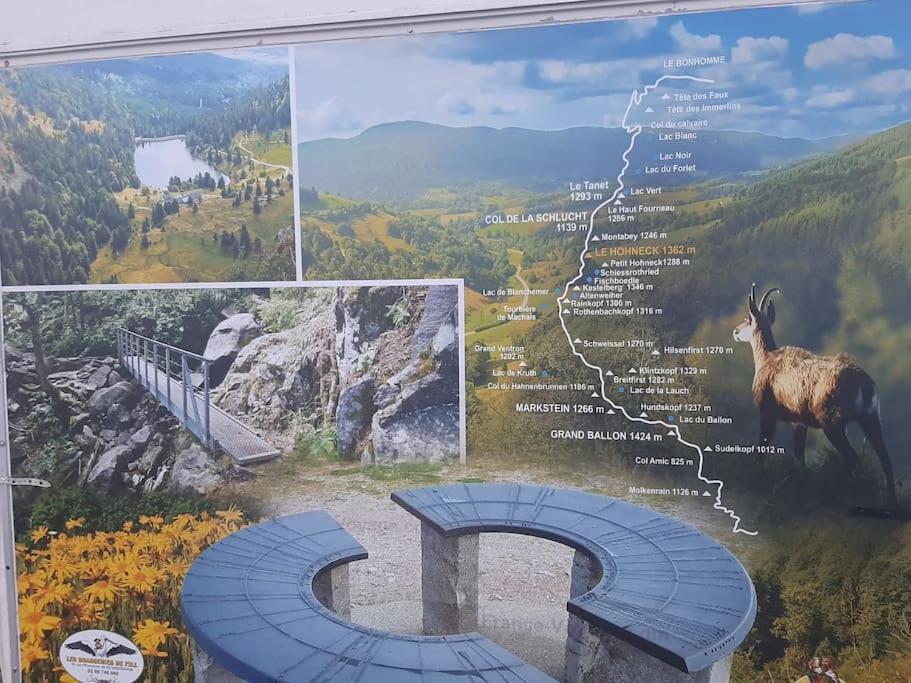 Studio Cosy Ambiance Vosgienne A 20 Mn De Gerardmer Lepanges-sur-Vologne Esterno foto